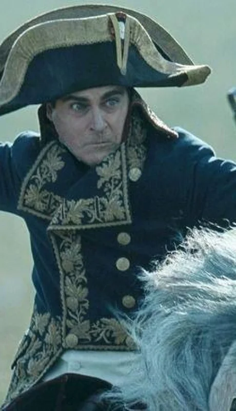 napoleon-phoenix-jpg.