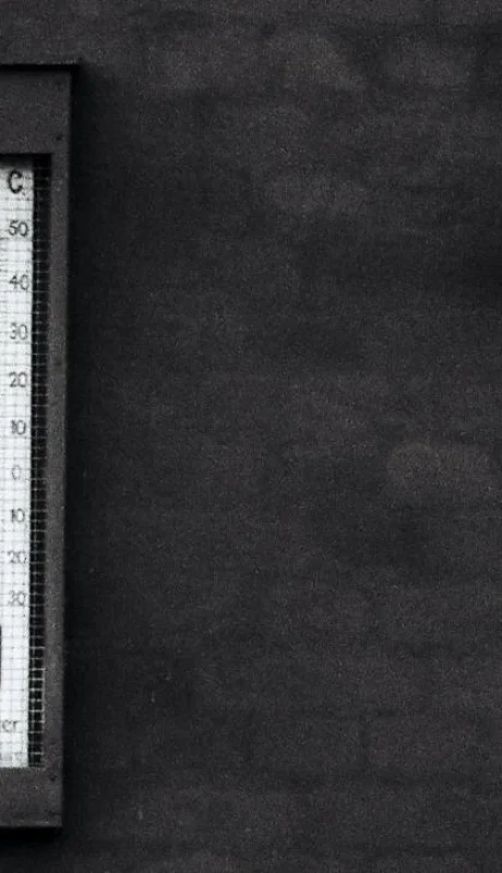 pexels-anna-urlapova-2968789-jpg.