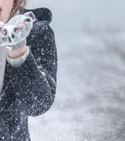 pexels-kristin-vogt-54200-1-jpg.