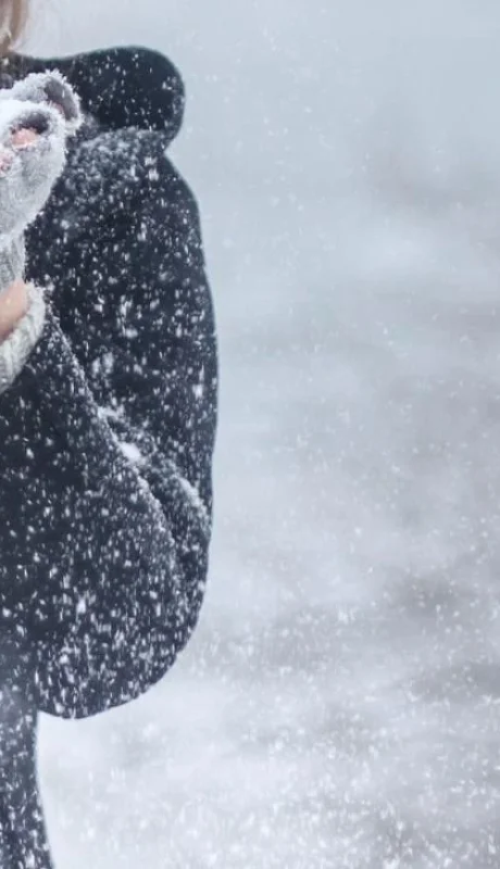 pexels-kristin-vogt-54200-1-jpg.