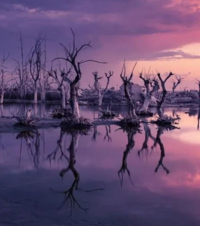 126-villa-epecuen-la-antigua-ciudad-argentina-sumergida-bajo-el-agua-782-big-jpg.