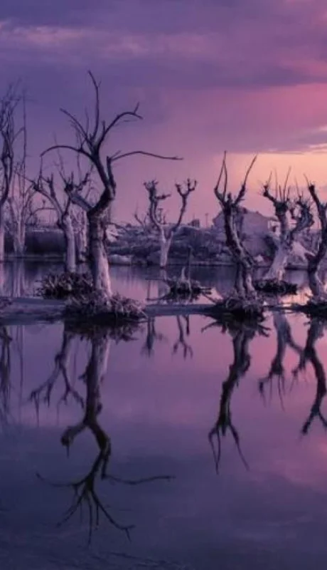 126-villa-epecuen-la-antigua-ciudad-argentina-sumergida-bajo-el-agua-782-big-jpg.