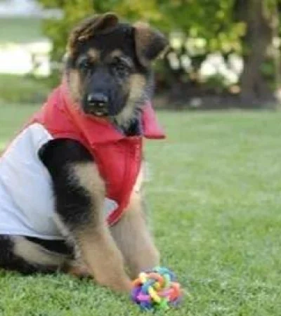 d-nq-np-884750-mla45318864835-032021-o-jpg.