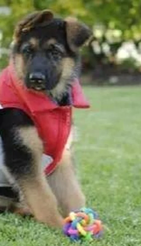 d-nq-np-884750-mla45318864835-032021-o-jpg.