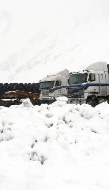 62caf68a238ce-900-jpg.