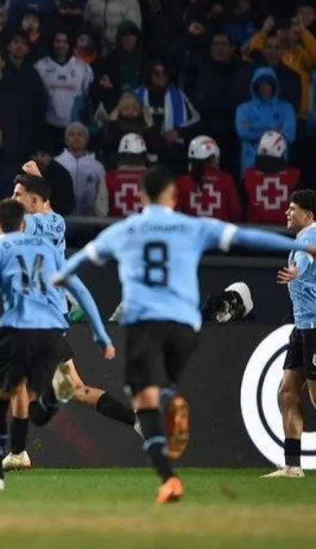 WhatsApp Image 2023-06-11 at 20.14.24