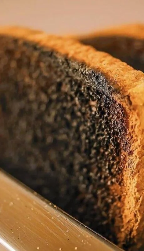 por-que-no-deberias-ni-siquiera-probar-la-comida-quemada-jpg.