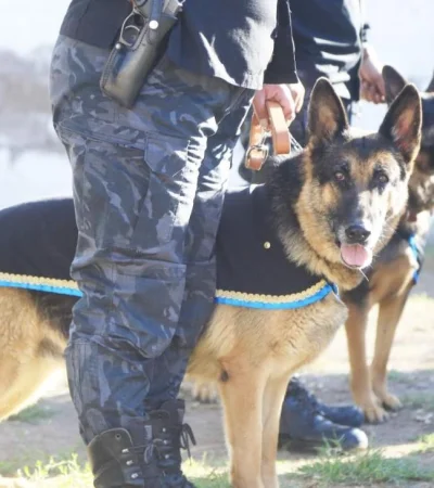 policia-de-san-rafael-jpg.