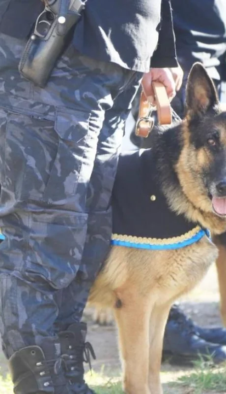 policia-de-san-rafael-jpg.