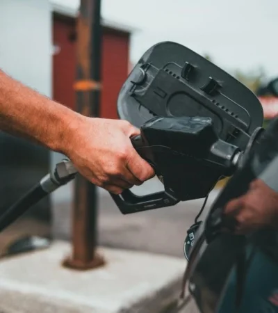 pexels-erik-mclean-9216590-jpg.