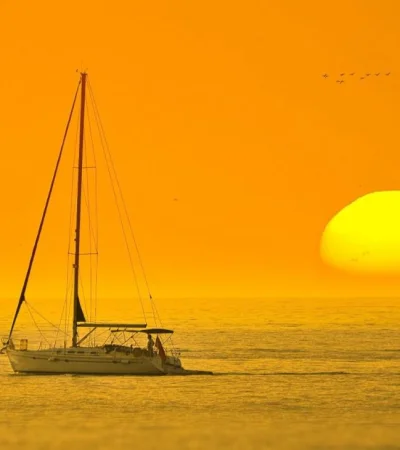 pexels-george-desipris-769228-jpg.