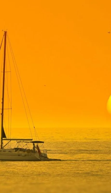 pexels-george-desipris-769228-jpg.