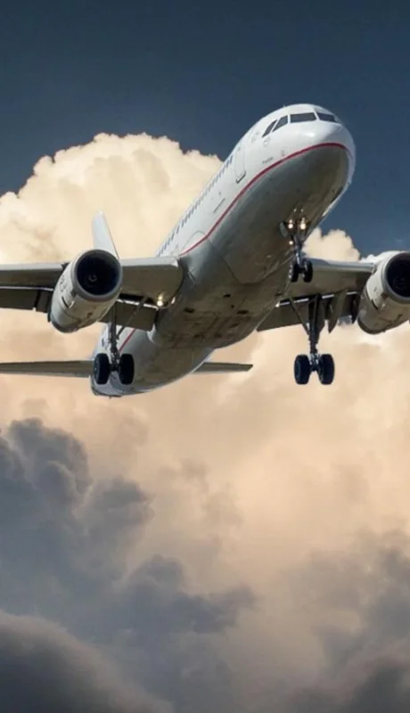 pexels-pixabay-46148-jpg.