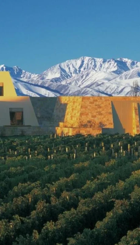 bodega-catena-zapata-jpg.