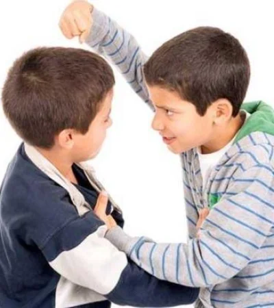 agresividad-infantil1-jpg.