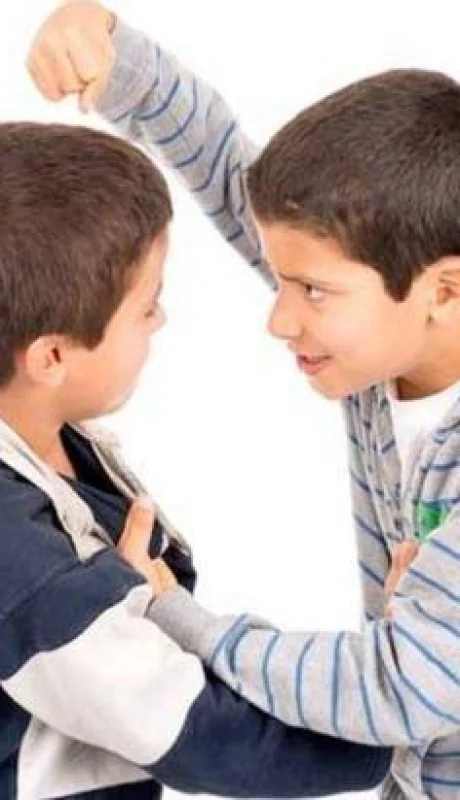 agresividad-infantil1-jpg.