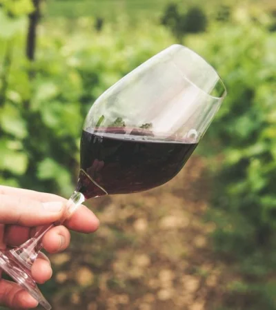 pexels-grape-things-2954924-jpg.