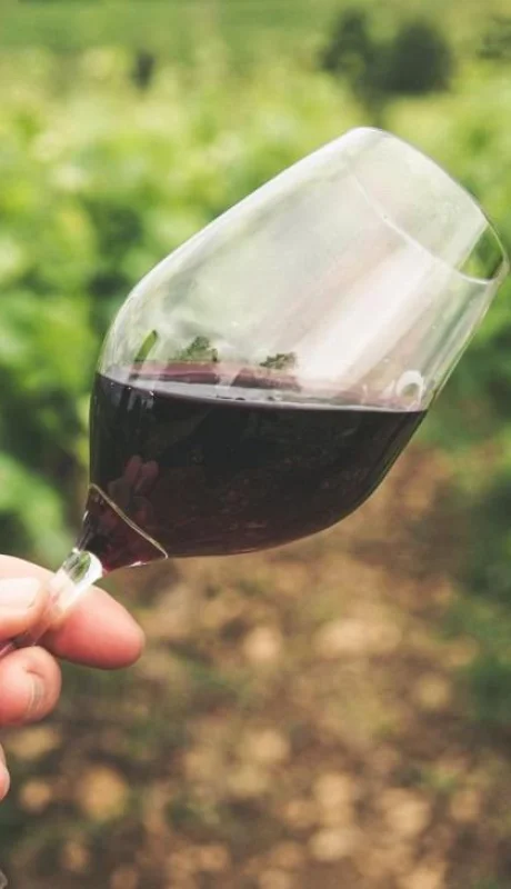 pexels-grape-things-2954924-jpg.