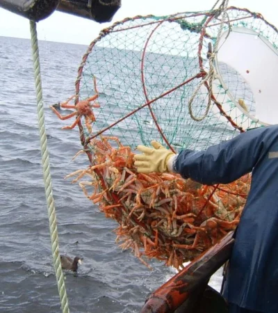 5bqlrk4wfjfrbk6b6zgoaou5qa-jpg.