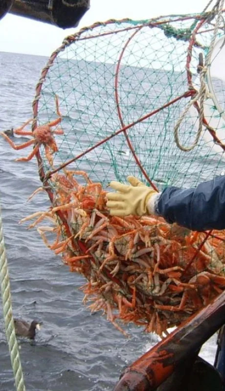 5bqlrk4wfjfrbk6b6zgoaou5qa-jpg.