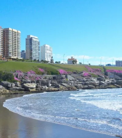 pexels-leo-galadreams-17225342-jpg.