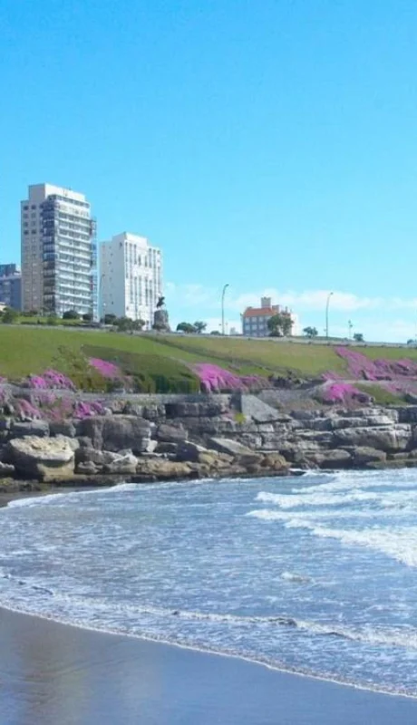 pexels-leo-galadreams-17225342-jpg.