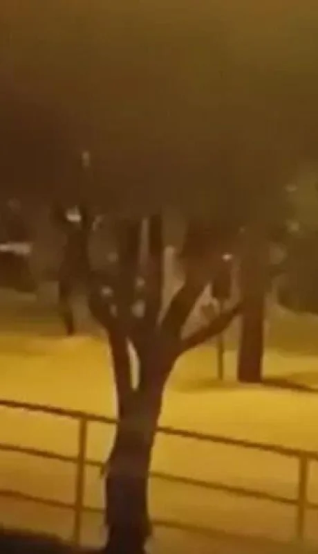 multimedia-normal-992893c54d3a315d-v2hhdhnbchagsw1hz2ugmjaymy0wny0yncbhdcaxnc5fbm9ybwfslndlyna-jpg.