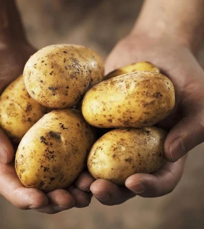 whatsapp-image-2023-07-10-at-10-32-16-jpeg.