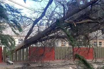 Gentrificación, Zonda y Emergencias