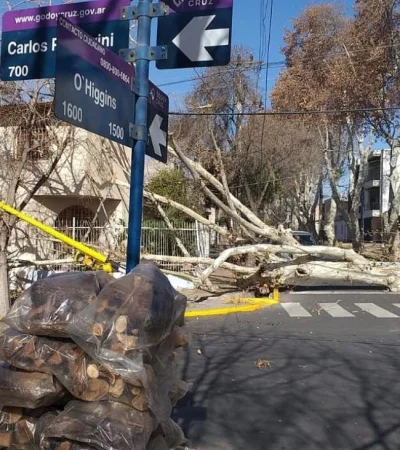 whatsapp-image-2023-07-21-at-16-53-42-jpeg.