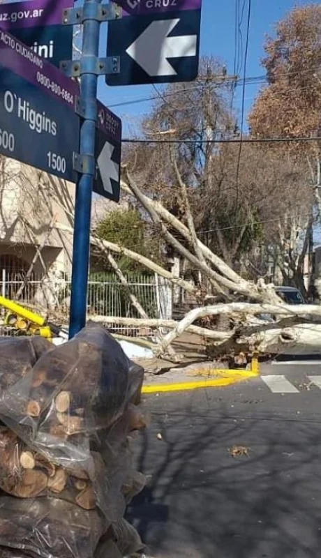 whatsapp-image-2023-07-21-at-16-53-42-jpeg.