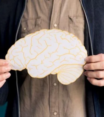 cerebro-mente-cuidados-salud-png.