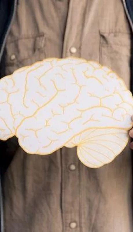 cerebro-mente-cuidados-salud-png.