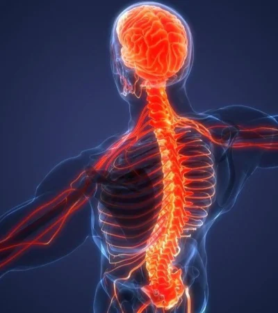 que-es-sindrome-guillain-barre-5-jpg.