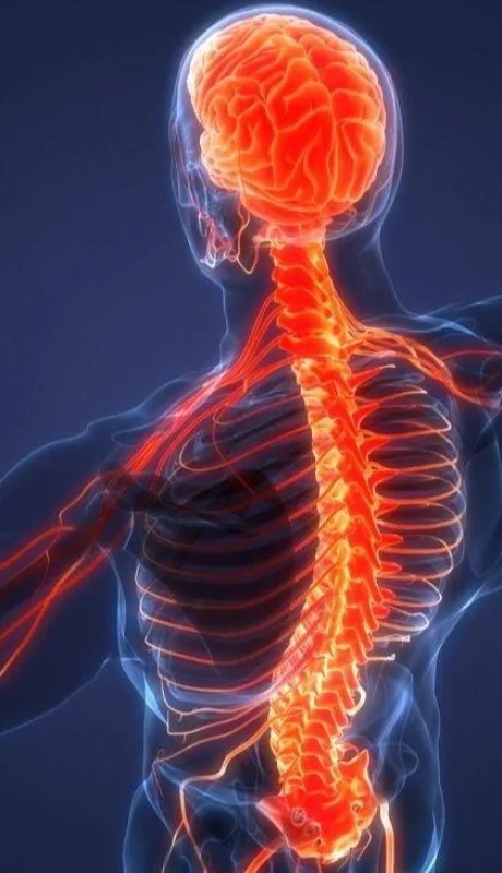 que-es-sindrome-guillain-barre-5-jpg.