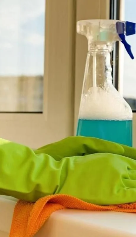 70430-empleadas-domesticas-tambien-tienen-derecho-a-licencia-jpeg.