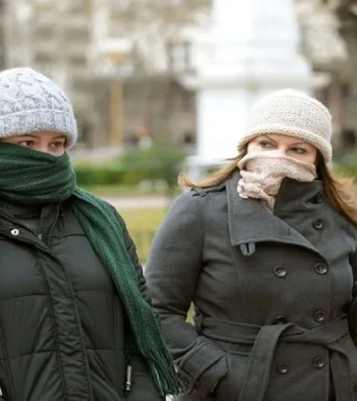 ola-polar-frio-argentina-png.