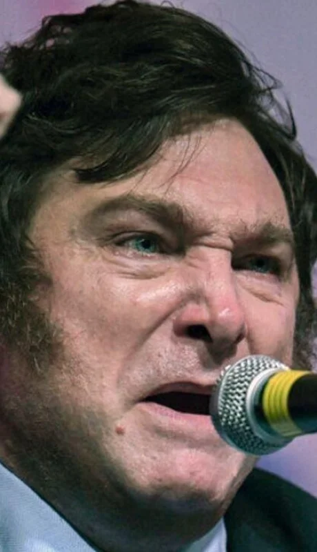 743106-javier-20milei-20elecciones-20derrota-1-jpg.