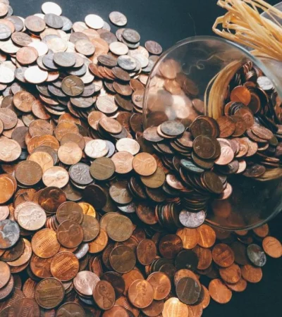 pexels-pixabay-259165-jpg.