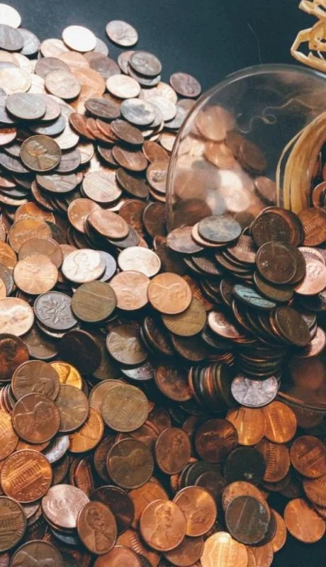 pexels-pixabay-259165-jpg.