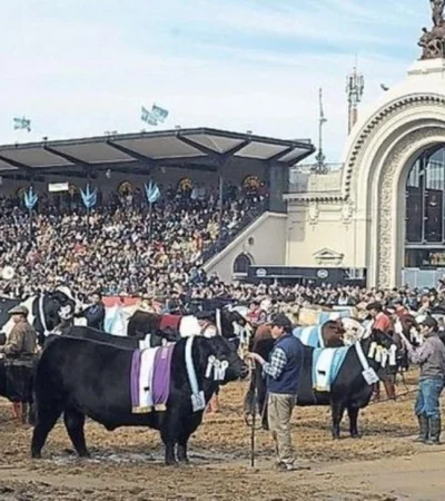 palermo-696x393-1-jpg.