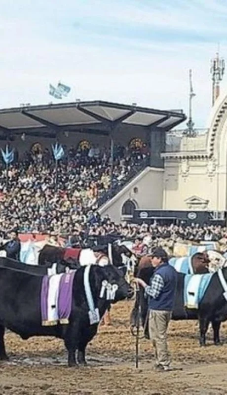 palermo-696x393-1-jpg.