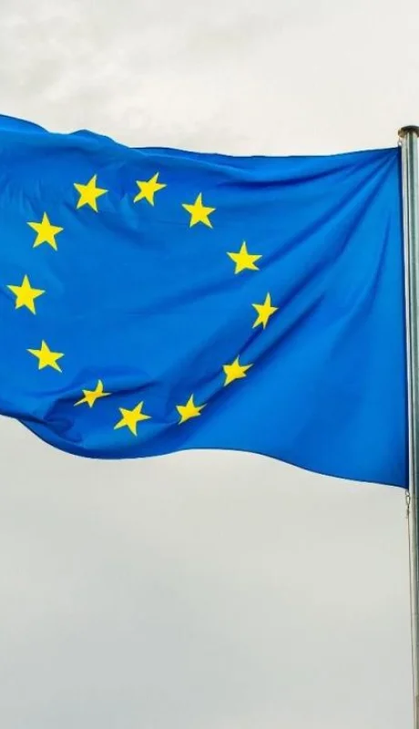 pexels-du-an-cvetanovi--12541596-jpg.