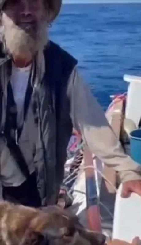 tim-shaddock-australian-sailor-780x470-jpg.