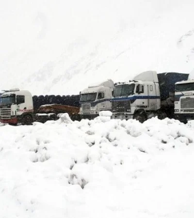 62caf68a238ce-900-jpg.