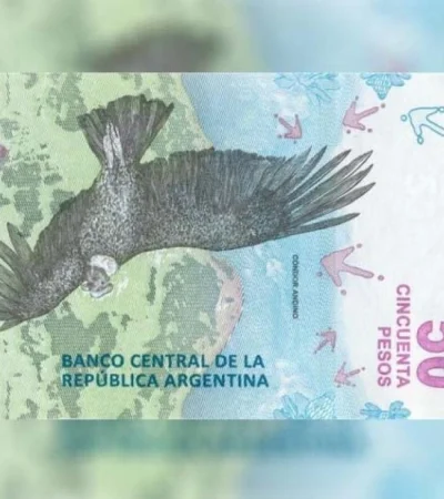 e054be95ee5e86d00256743563d9615d-xl-jpg.