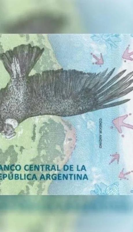 e054be95ee5e86d00256743563d9615d-xl-jpg.