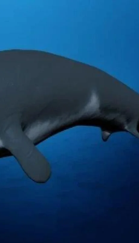 f800x450-21906-73352-5050-jpg.