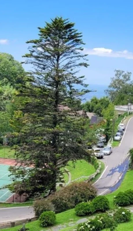 x772xbv6xjacdmw7muguduzcra-jpeg.