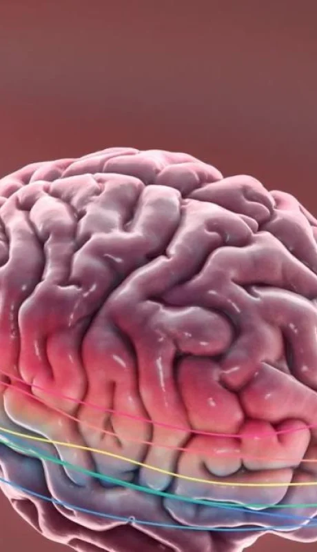 gettyimages-1130537061-jpg.